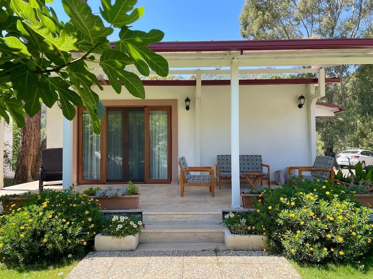 Luxury Villa With Pool In Marmaris