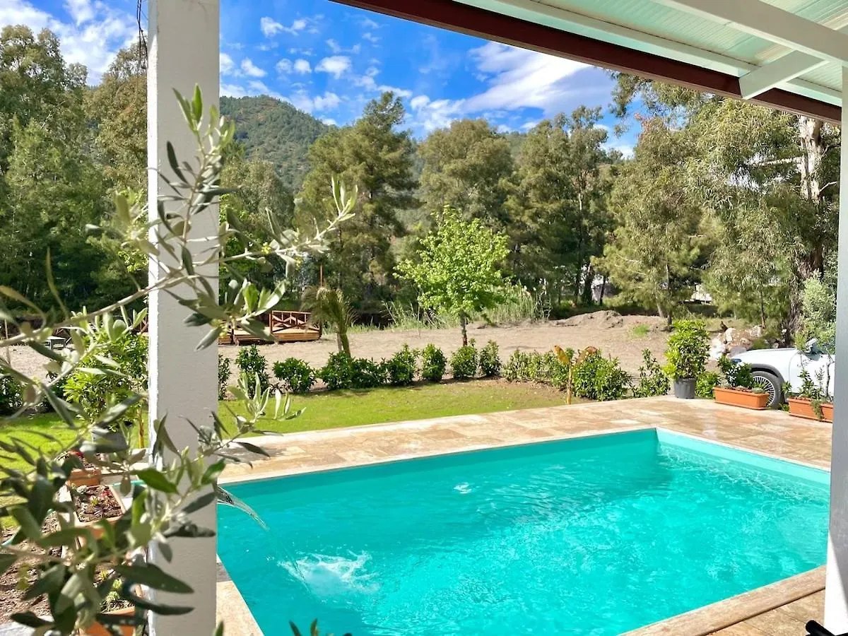 Luxury Villa With Pool In Marmaris